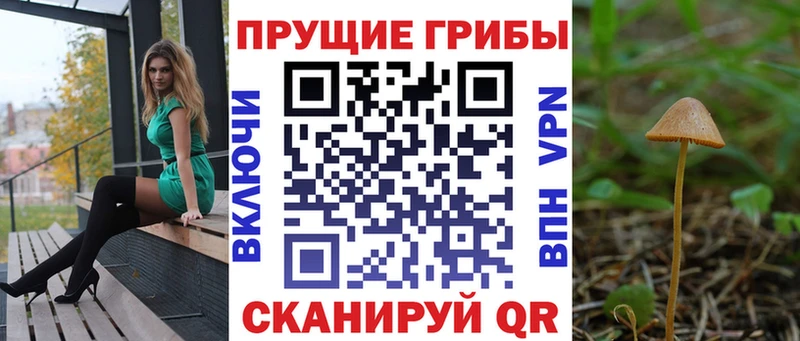 Псилоцибиновые грибы Psilocybine cubensis  Купить закладки  Пустошка 